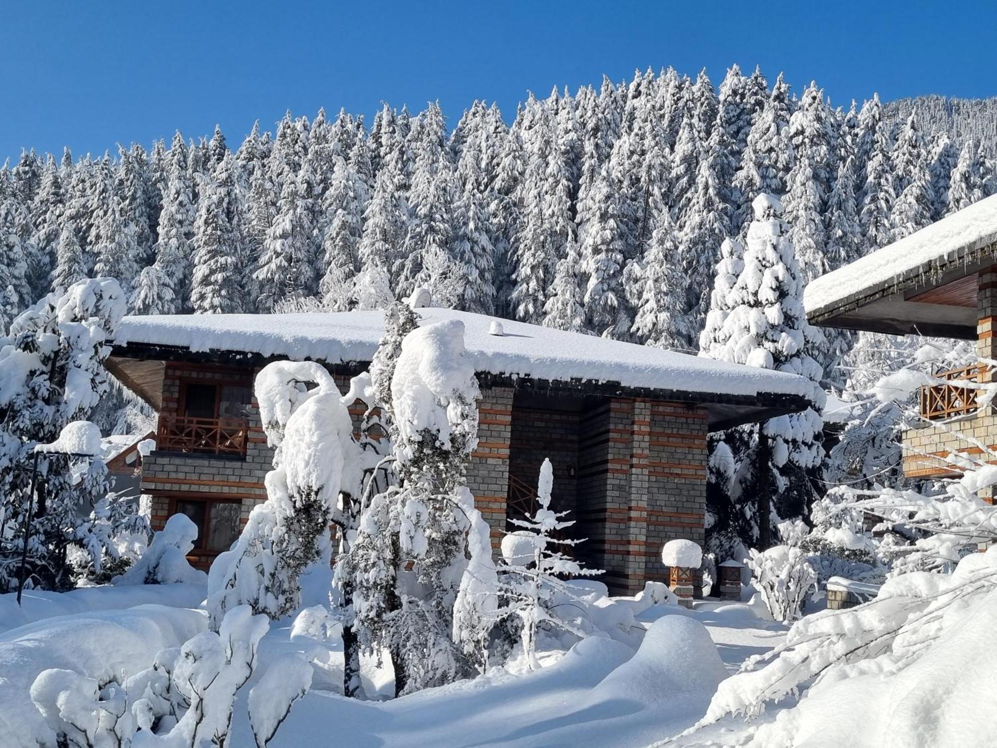 Banon Resorts Manali  Ngoại thất bức ảnh