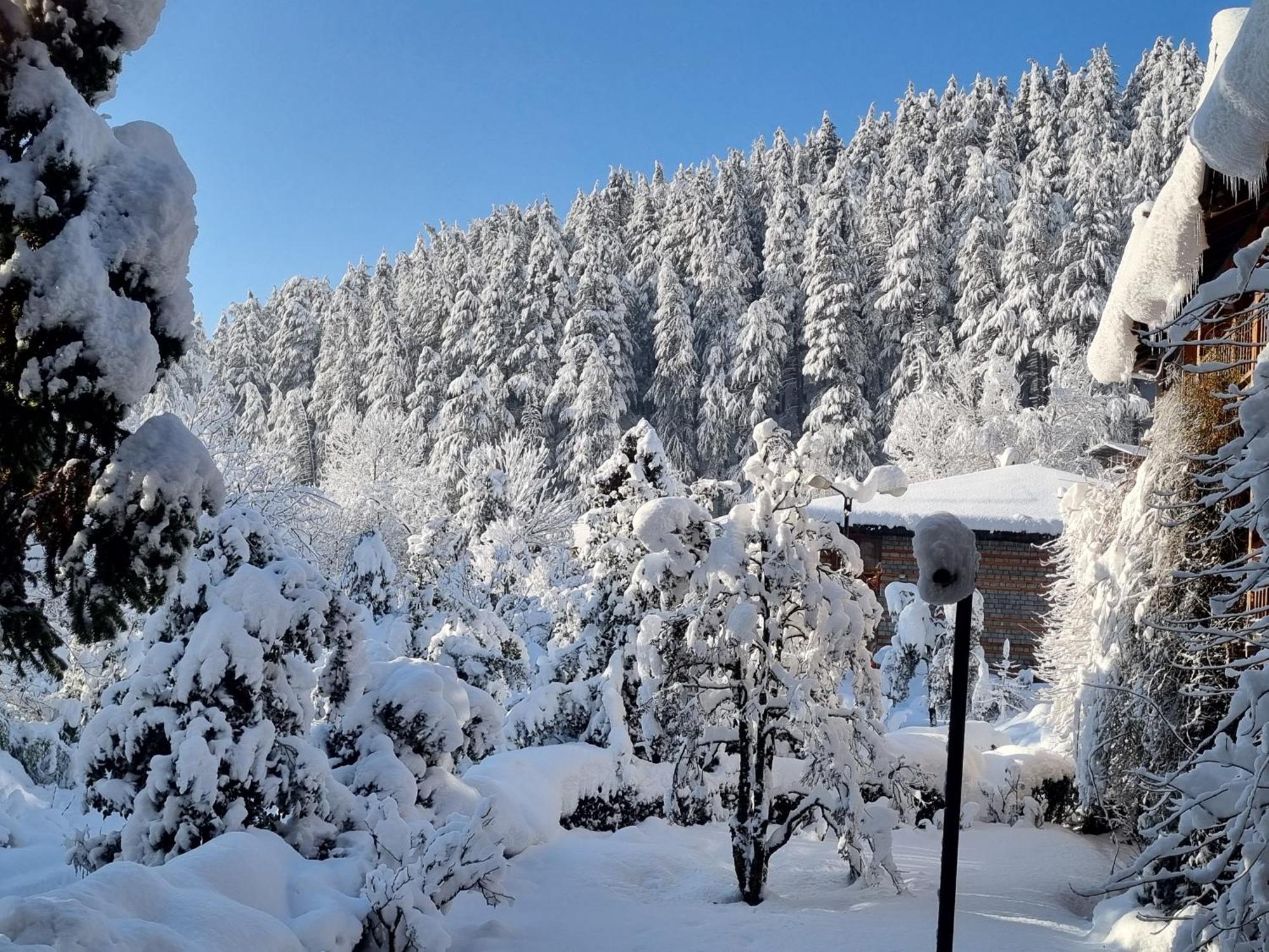 Banon Resorts Manali  Ngoại thất bức ảnh