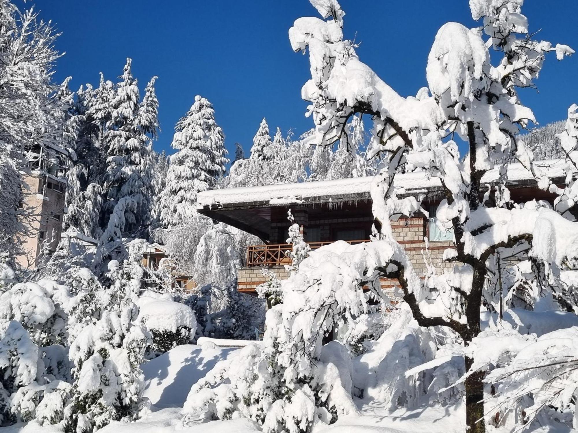 Banon Resorts Manali  Ngoại thất bức ảnh