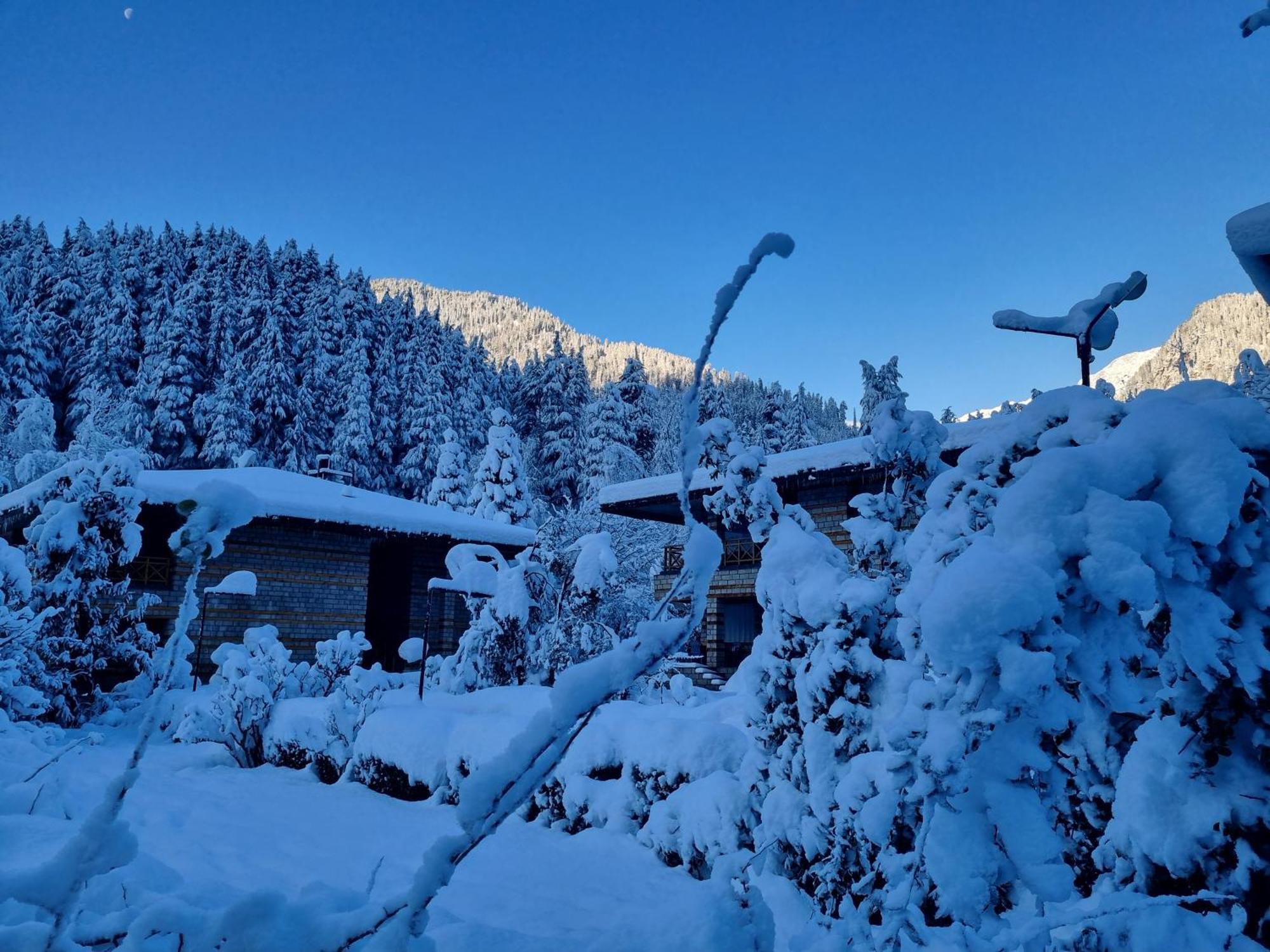 Banon Resorts Manali  Ngoại thất bức ảnh